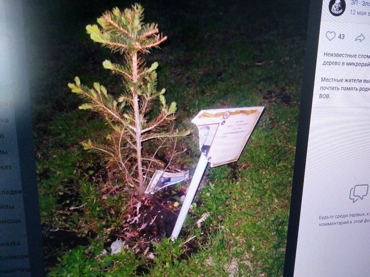 В Пензе вандалы разорвали портрет ветерана ВОВ