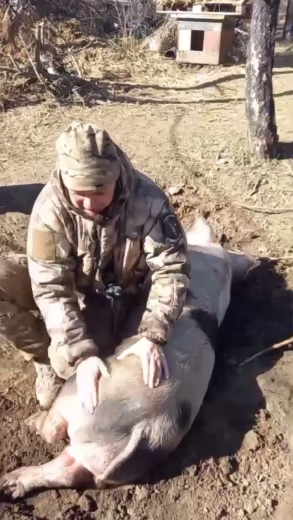 Пензенские саперы на СВО сняли видео про дружбу зверей и людей