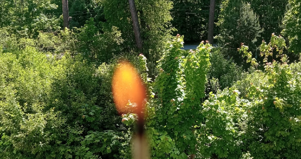 В пензенском МЧС предупредили о высокой пожарной опасности в регионе