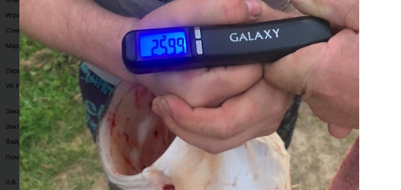 В Мокшанском районе рыбак поймал громадную рыбину весом 25 кг