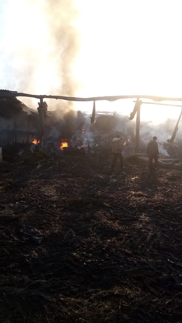 В Городищенском районе сгорел ангар с рулонами сена