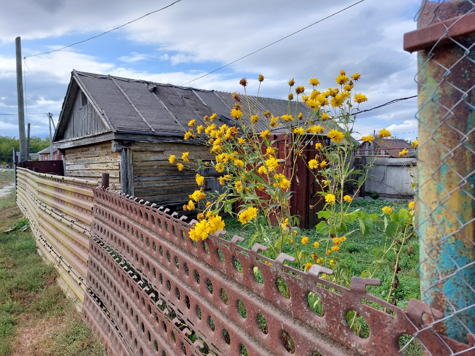 За что могут оштрафовать пензенского дачника