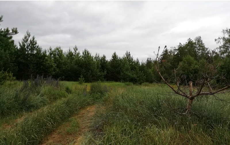 Охотника из Каменки осудили за неосторожное убийство