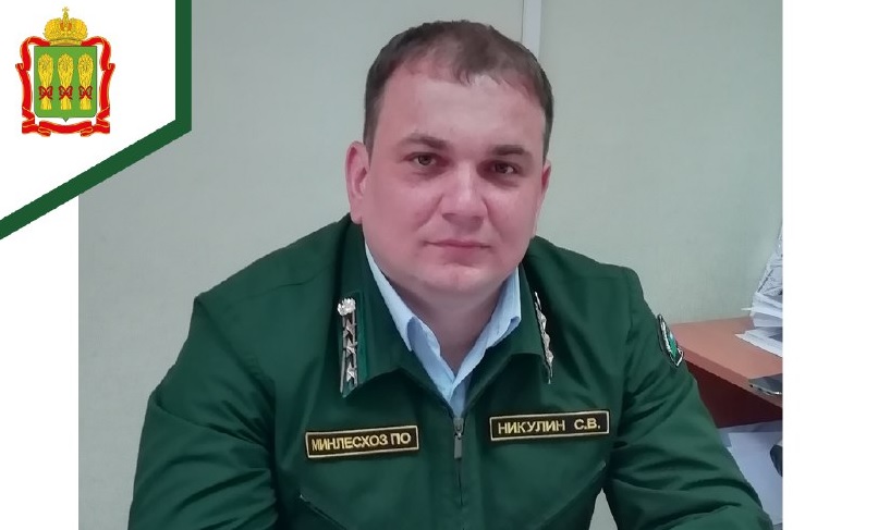 В Никольском лесничестве назначили исполняющего обязанности директора