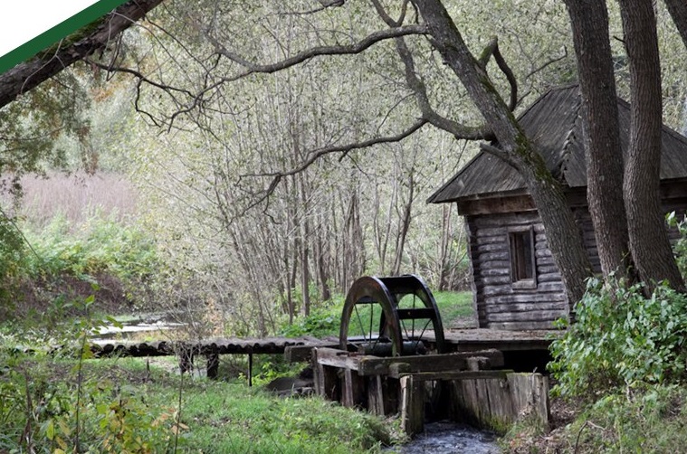 92 природные территории Пензенской области находятся под охраной