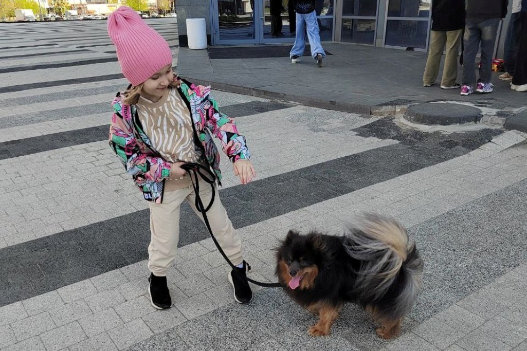 В пензенском Минздраве рассказали о хорошей физической форме владельцев собак