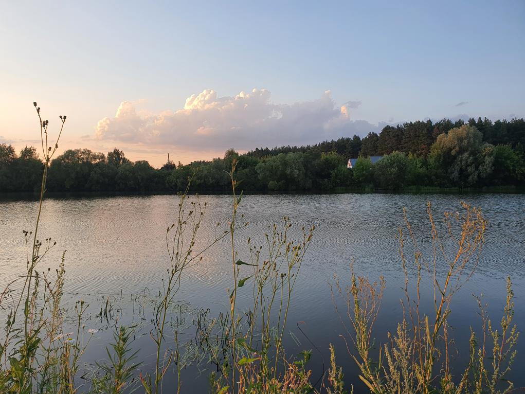 Эконадзор: прокуратура Пензенской области борется за чистоту региона