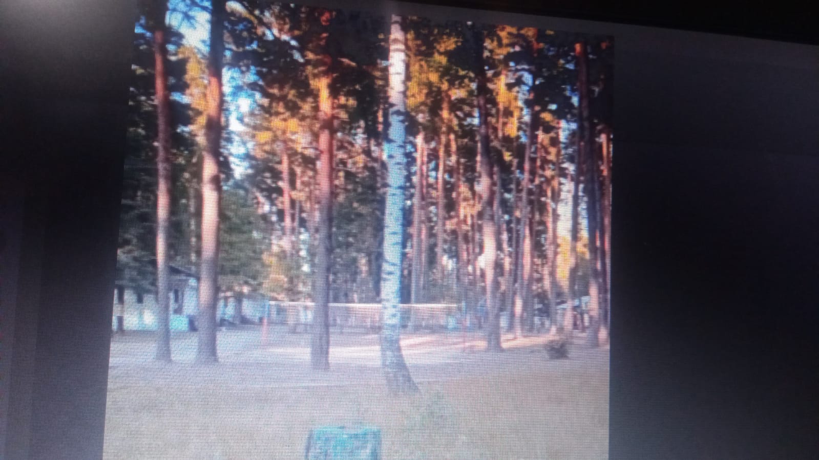 Олег Ягов рассказал о штатной работе лагеря «Белка»