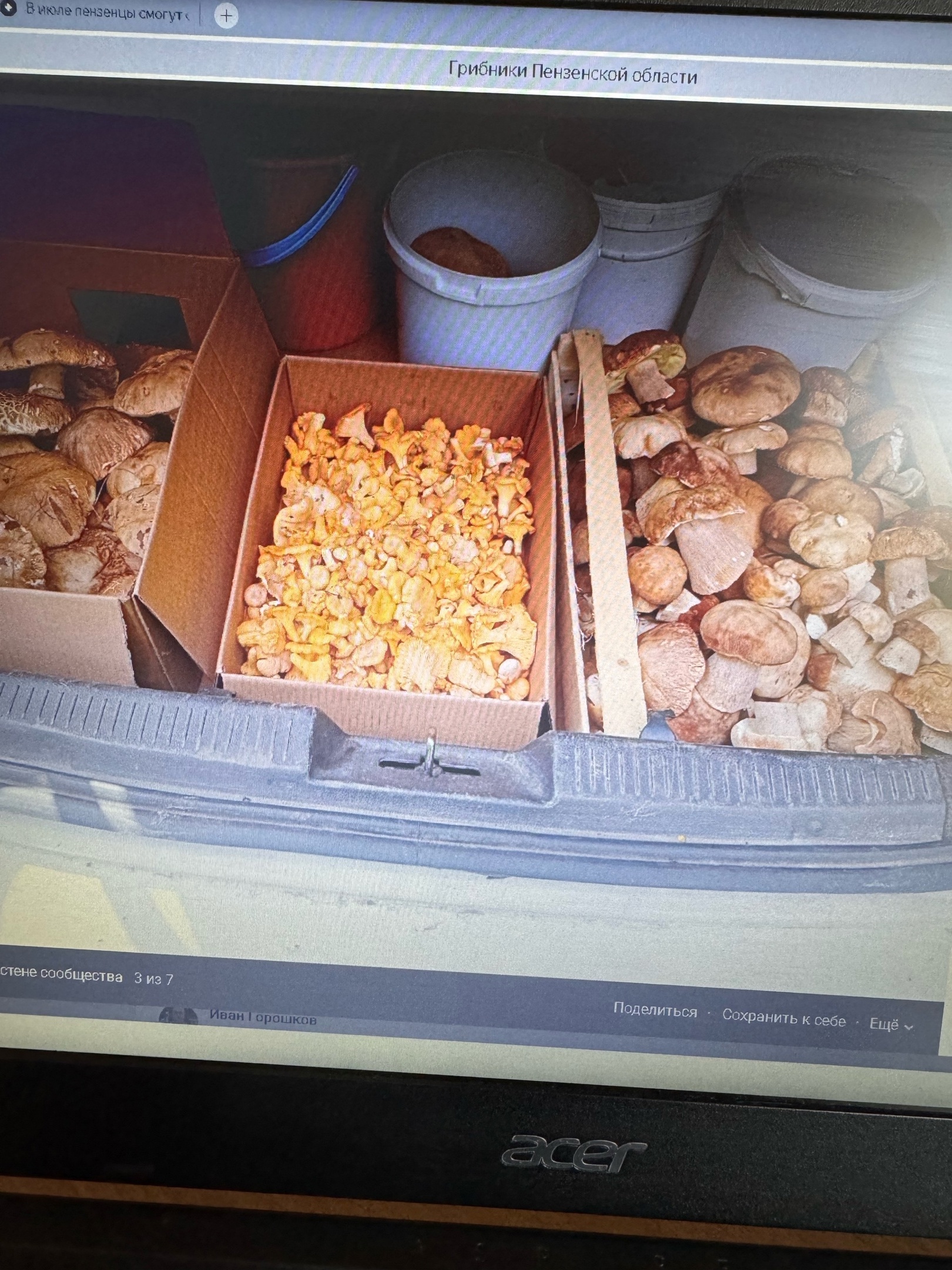 Пензенские леса радуют грибников впечатляющими «трофеями»