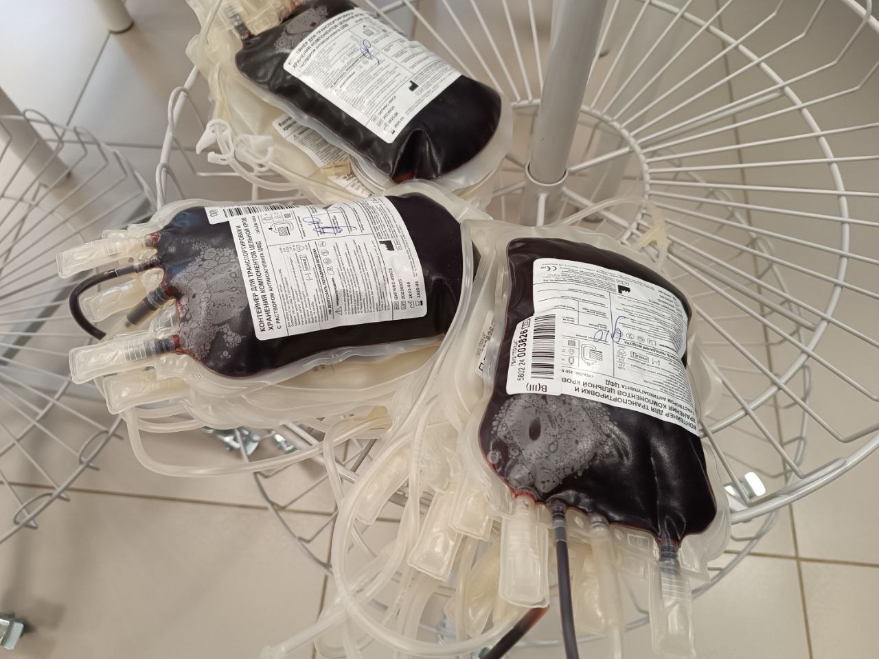 Пензенцам объяснили, можно ли пить алкоголь перед сдачей крови