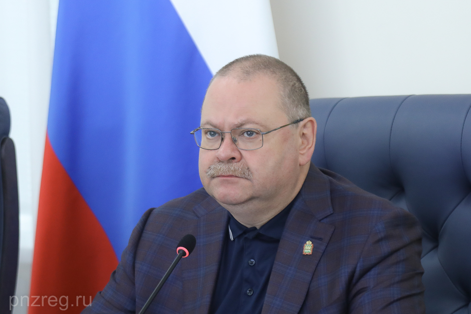 Олег Мельниченко раскритиковал качество капремонта в Земетчинском лицее