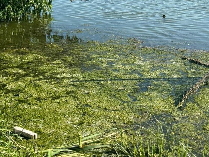 В Пензенском районе нашли труп пропавшего 8 июня 24-летнего мужчины