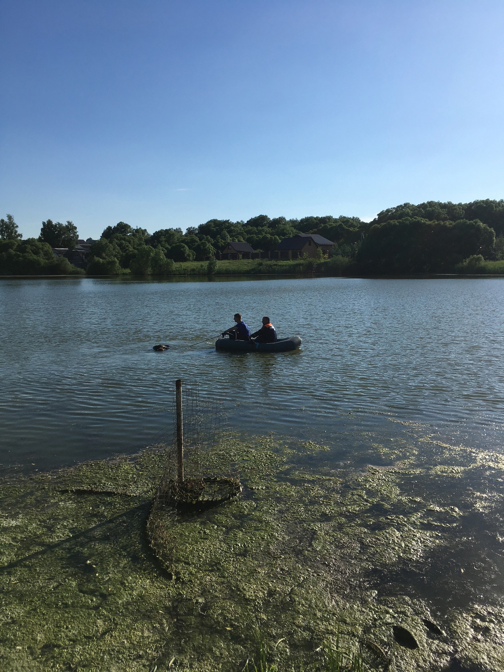 В Пензенском районе в пруду нашли бездыханное тело мужчины