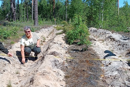 В пензенском Минлесхозе аттестовали лесосеменную плантацию в Большевъясском лесничестве