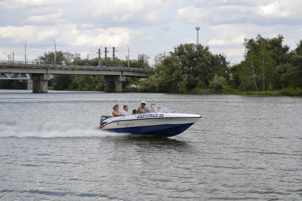 Сурское водохранилище зарыбят толстолобиком