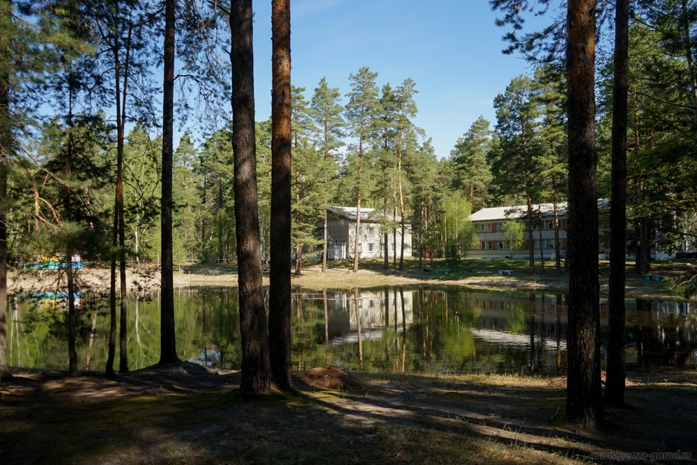 В детском лагере под Пензой проведут военно-спортивную смену