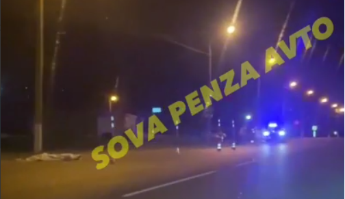 Ночью на улице Кижеватова в Пензе насмерть сбили пешехода