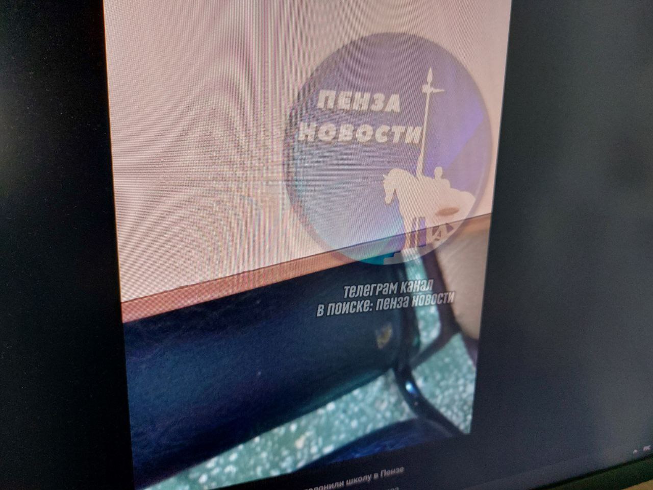 Пензенцы сообщили о тараканах в школе №32