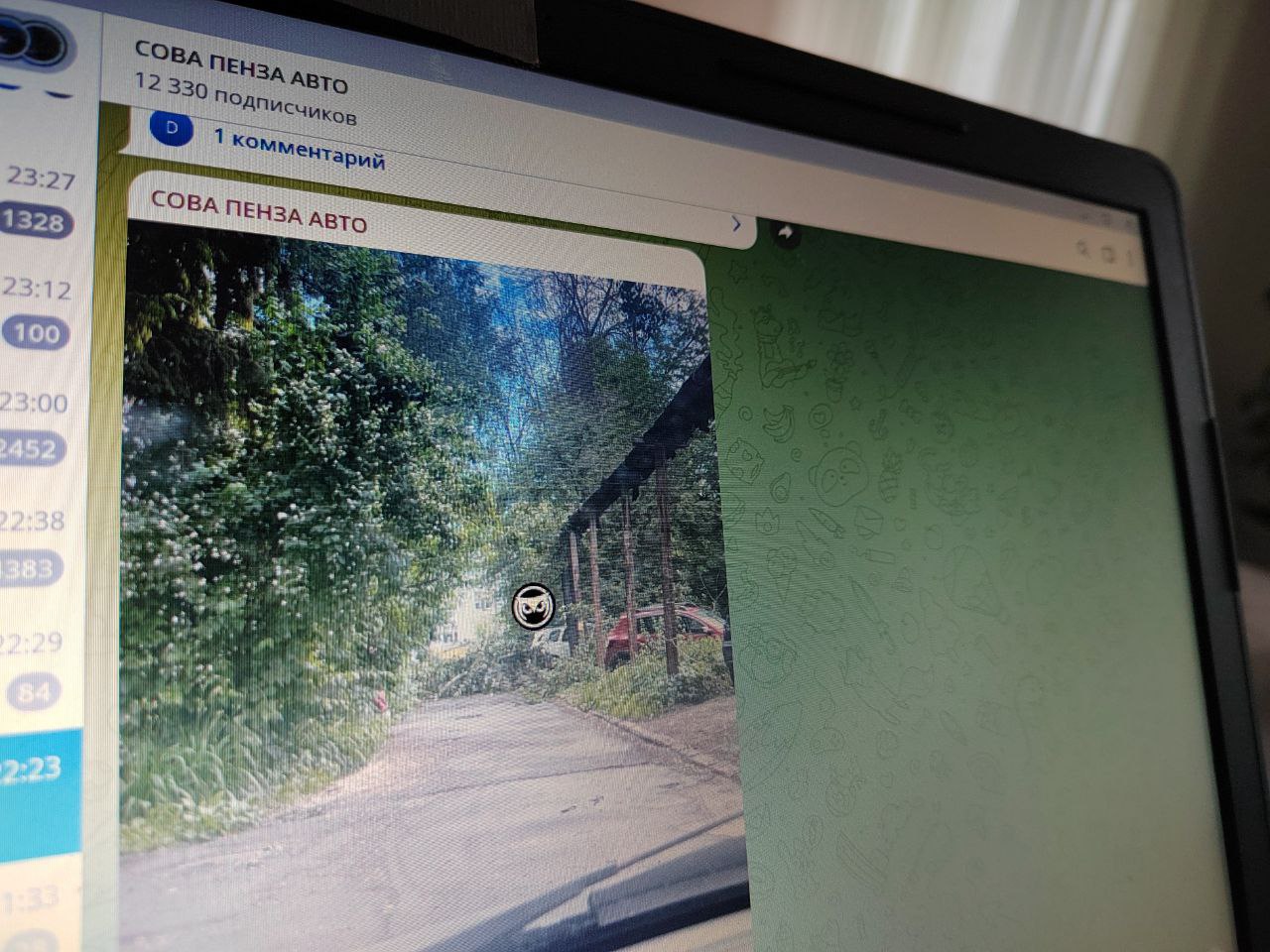 В Пензе на Дзержинского дерево упало на припаркованные машины