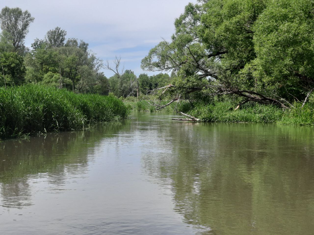 В Пензе проверили экологическое состояние старицы Суры