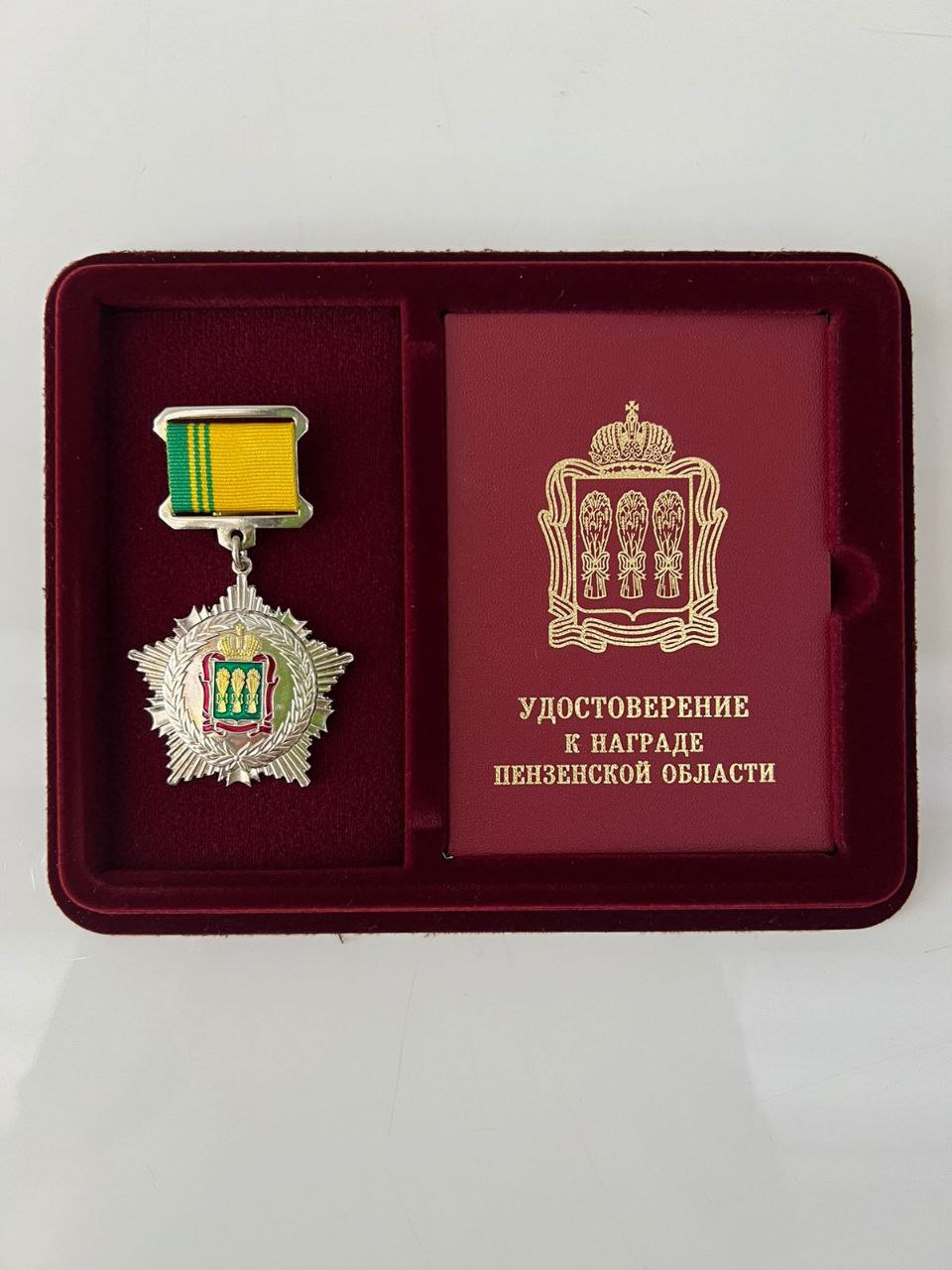 Олег Мельниченко наградил Рашида Хайрова Орденом за заслуги перед Пензенской областью