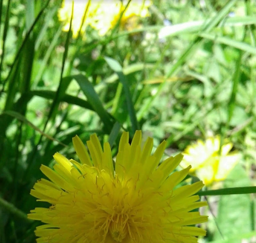 Как пензенцам защититься от теплового удара в жару