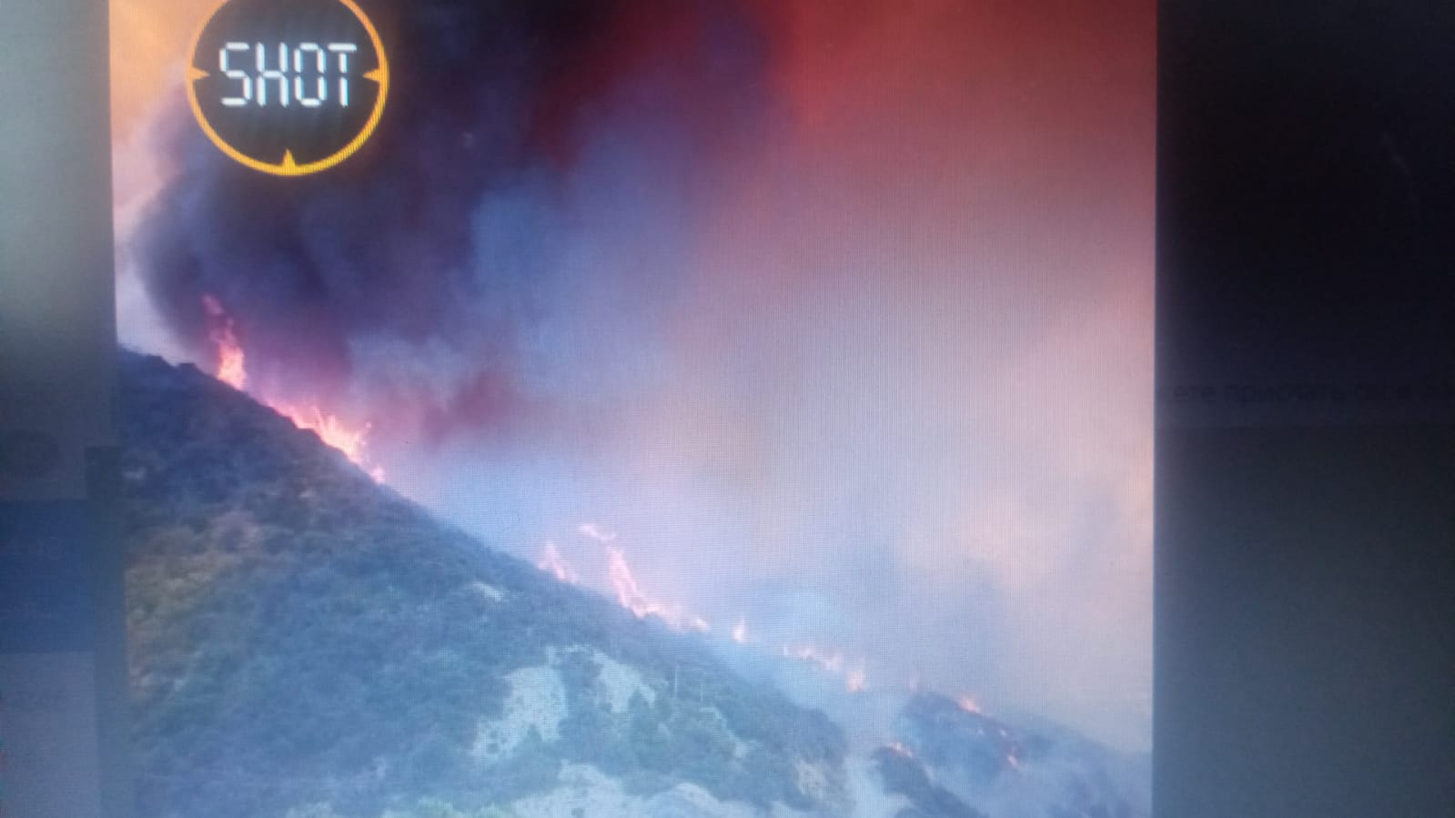 Пензенцам рассказали о крупнейшем пожаре на турбазах между Анапой и Абрау-Дюрсо