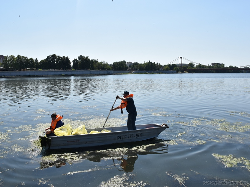 В Пензе начали расчищать Суру
