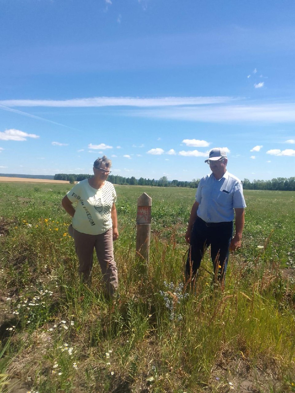 В Лопатинском лесничестве провели агротехнические уходы на площади 13,1 га