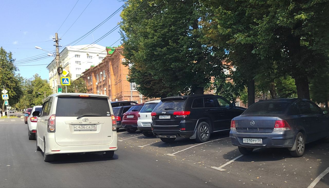 В Пензе из-за жары деревья начали сбрасывать листья