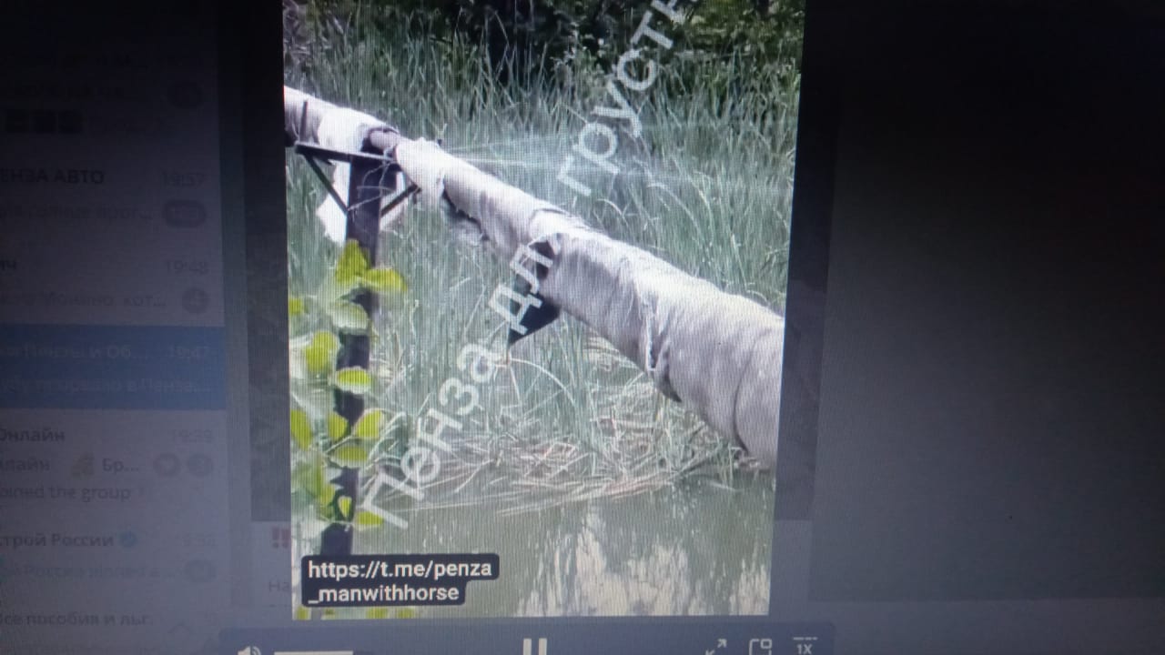 В Пензе на улице Зарубина из-за порыва трубы залита окрестность