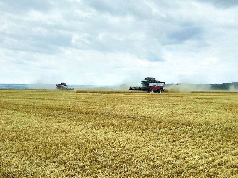 В Пензенской области аграрии собрали первый миллион тонн зерна