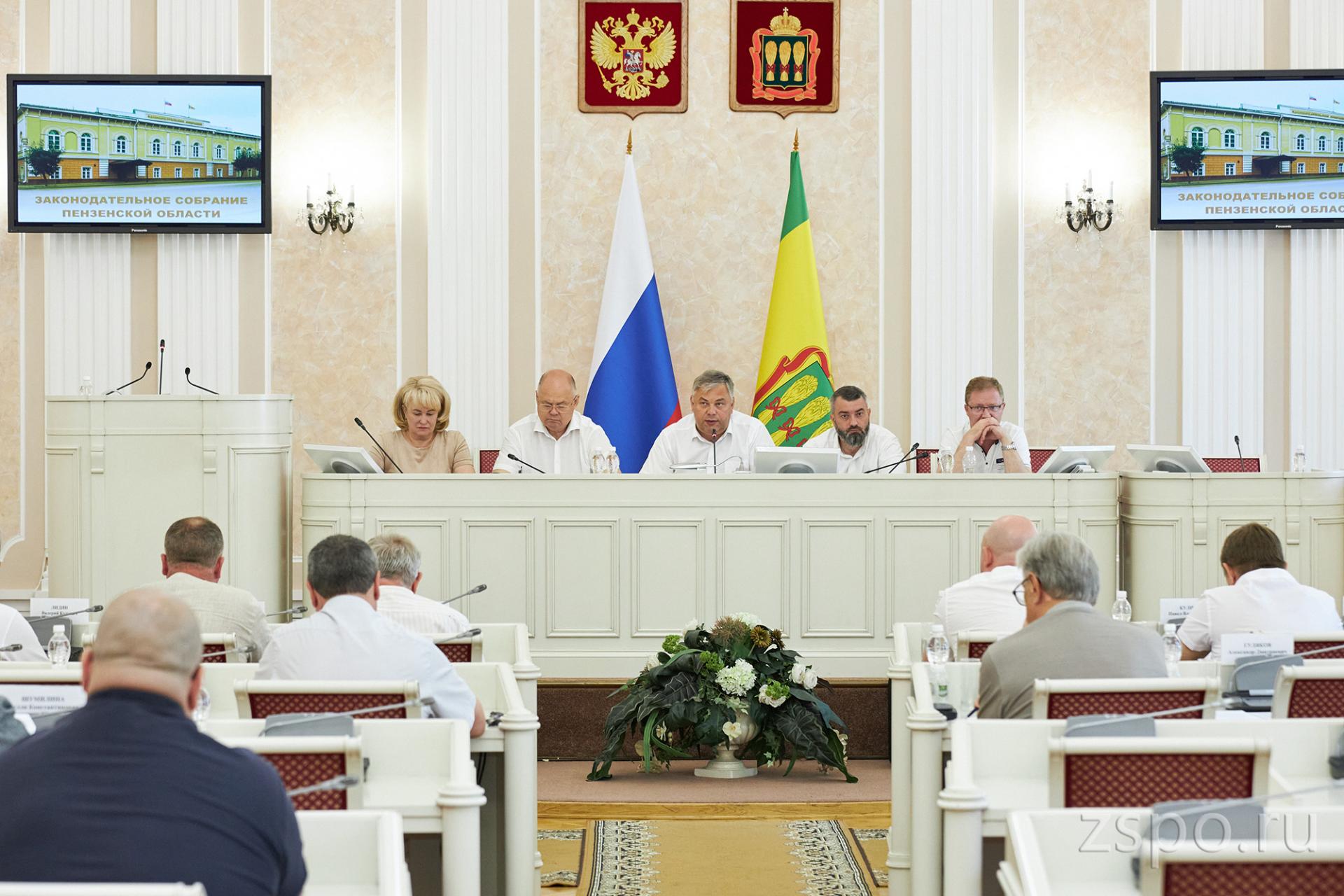 Вадим Супиков принял участие в заседании трёх парламентских комитетов