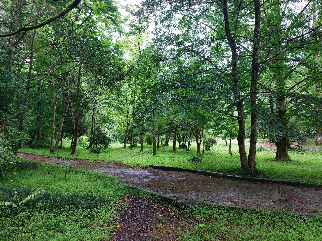 Олег Мельниченко рассказал о благоустройстве Тропы здоровья