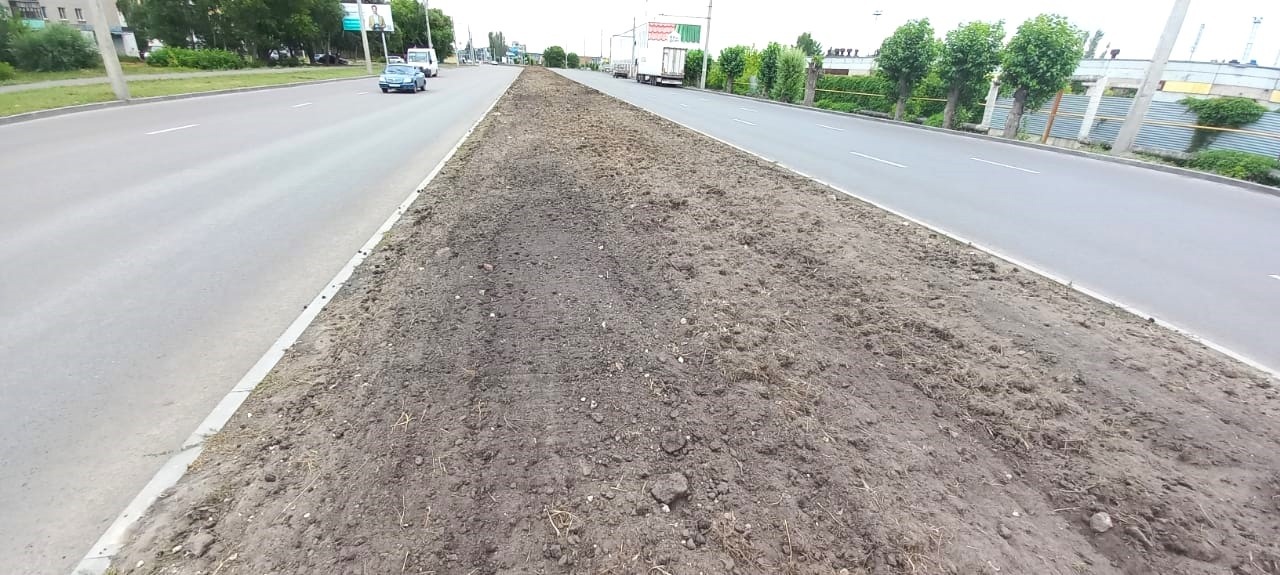 В Пензе свежий газон появится на улицах Чаадаева и Ленина