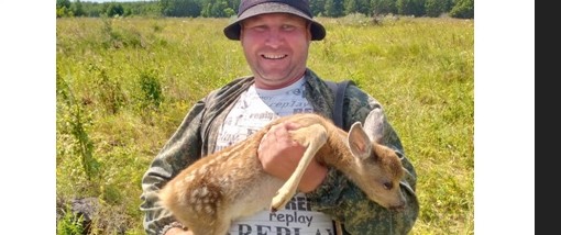 В Пензенской области спасли детёныша оленя