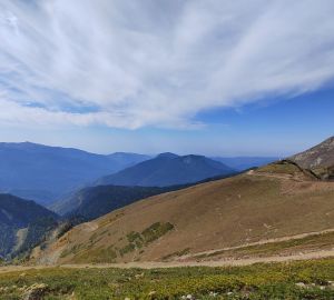 Названы перспективные направления инвестирования в третьем квартале 2024 года