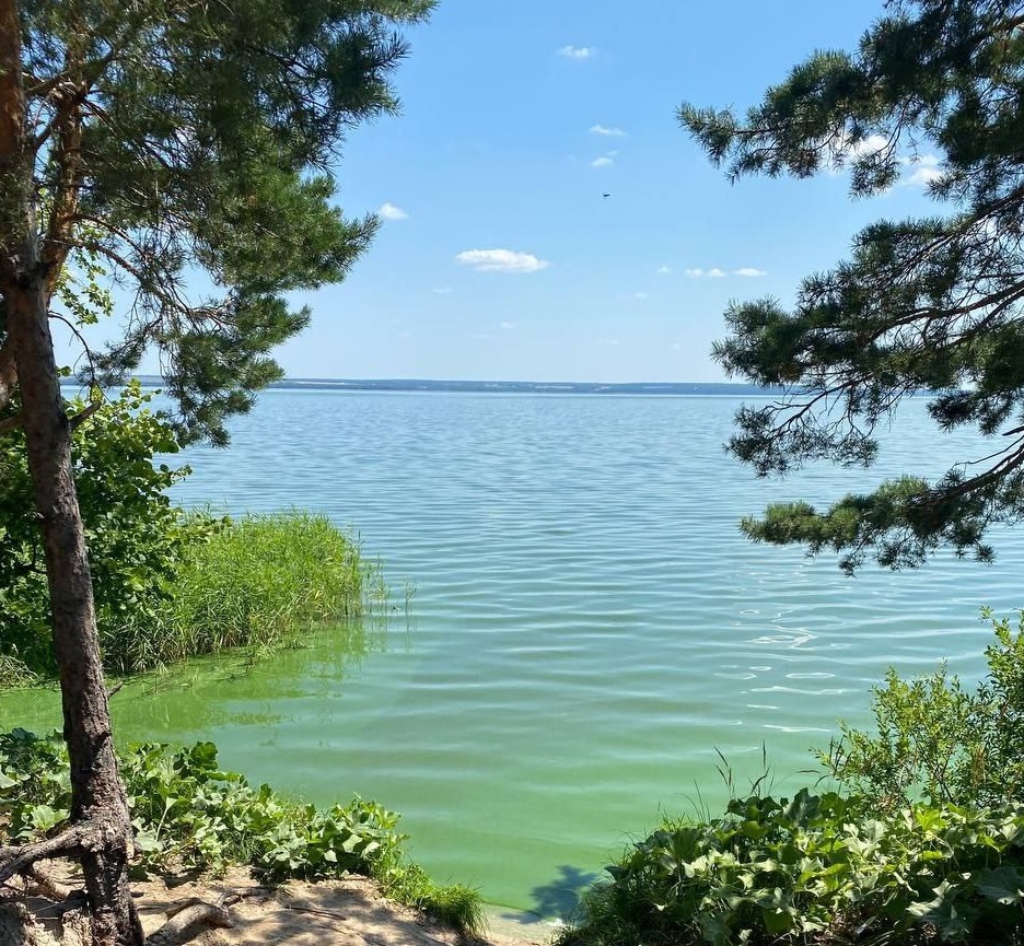Пензенцев беспокоит происхождение масляной пленки на водах Сурского водохранилища