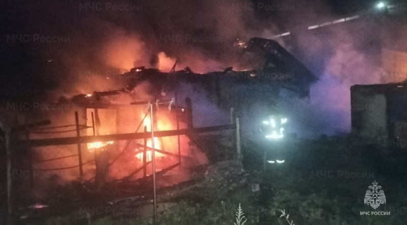 В Земетчинском районе на пожаре погибла девочка