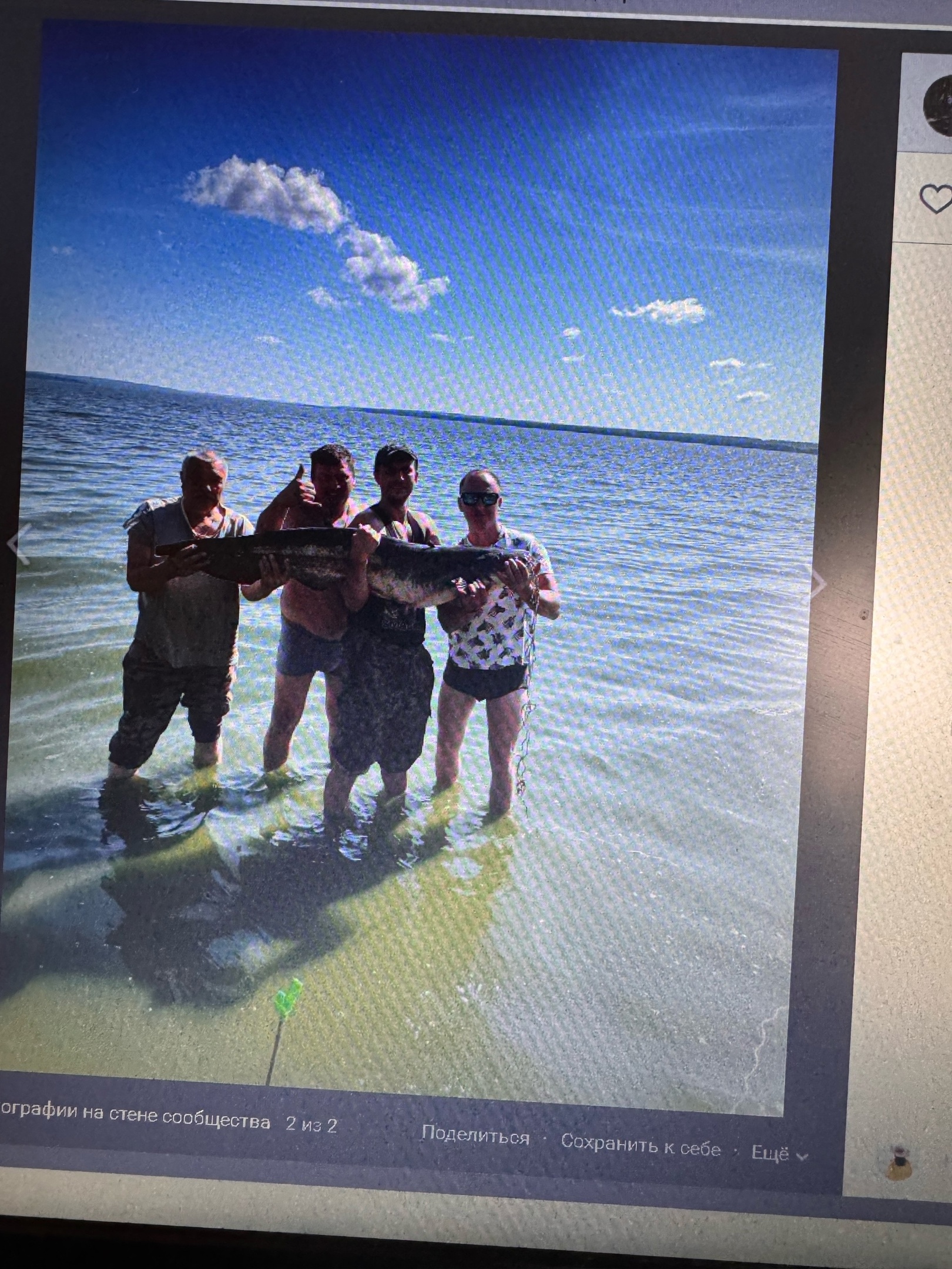 Пензенские рыбаки поделились снимком громадного сома, выловленного в Сурском водохранилище