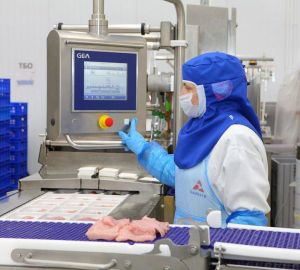 80% импортированной индейки в Китае из Пензенской области