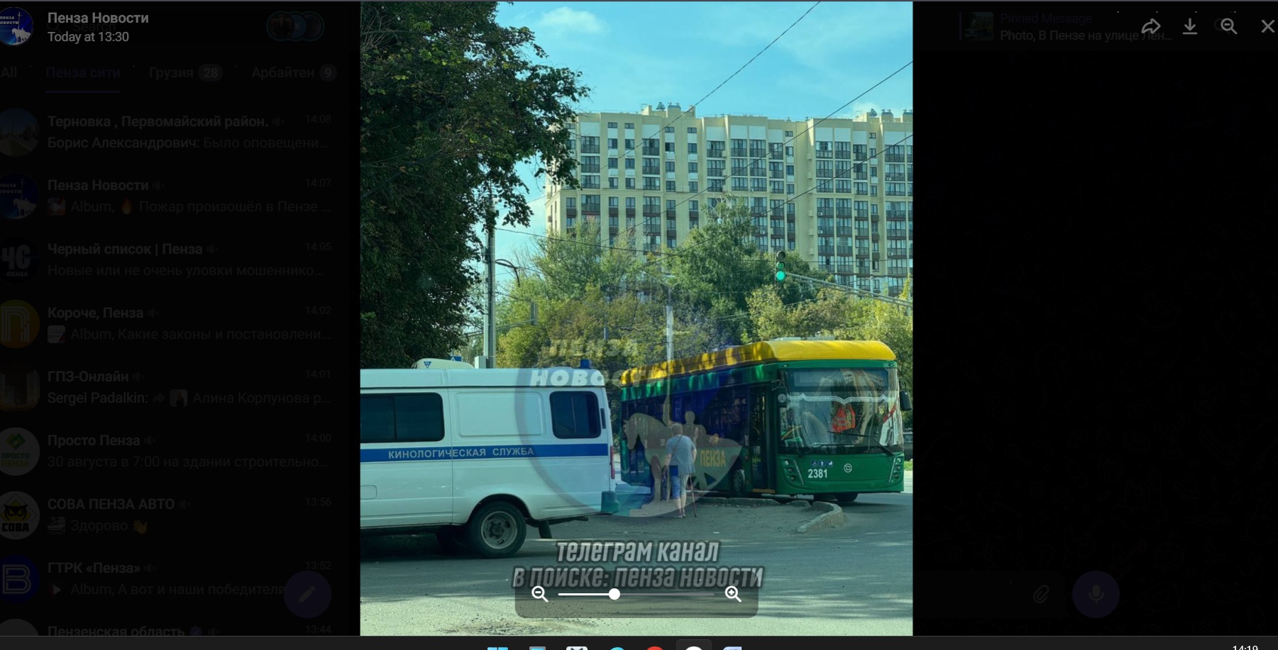 В Пензе на улице Ленина кинологи обследуют новый троллейбус