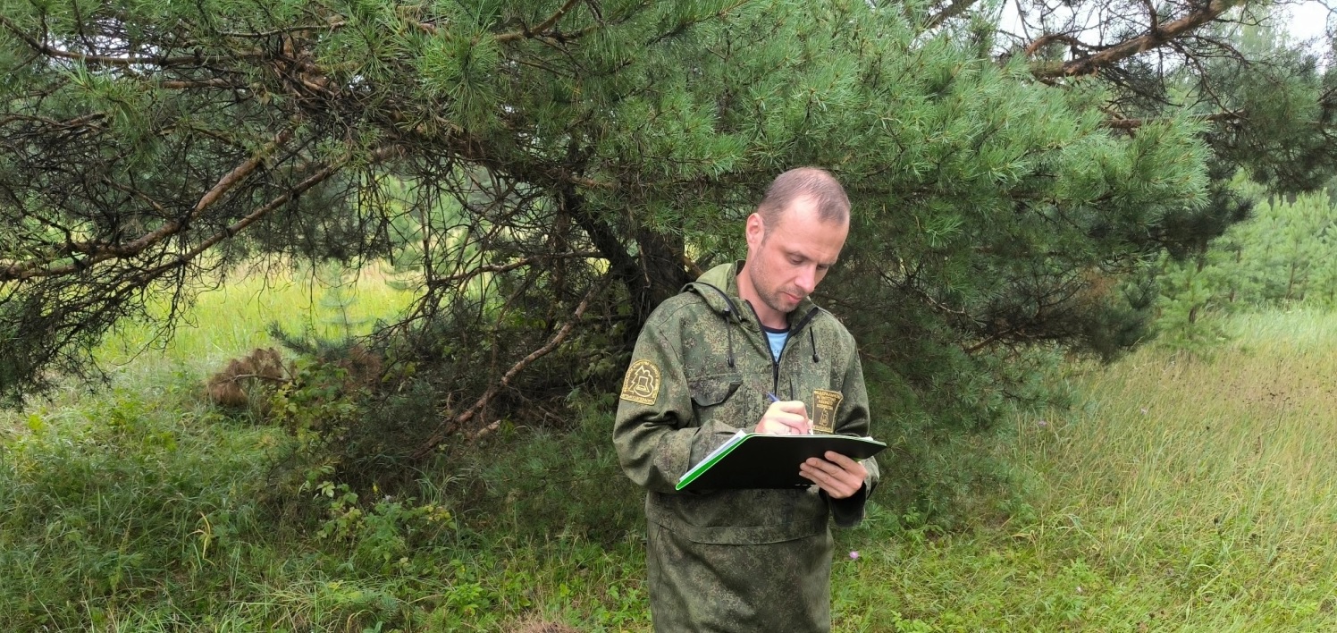 В Пензенской области начали проводить учет деревьев и напочвенного покрова