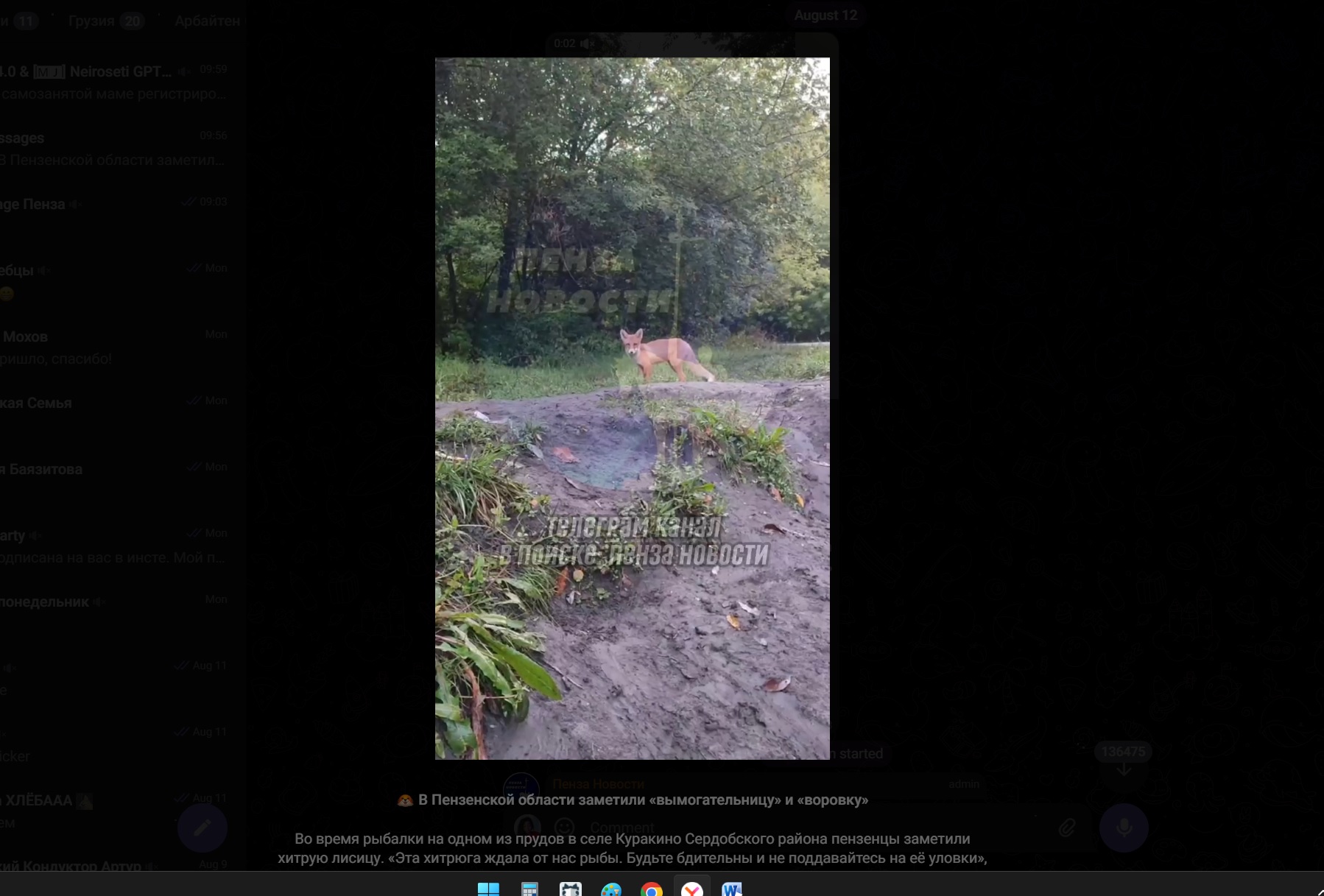 В Сердобском районе рыжая гостья из леса пыталась украсть улов рыбака