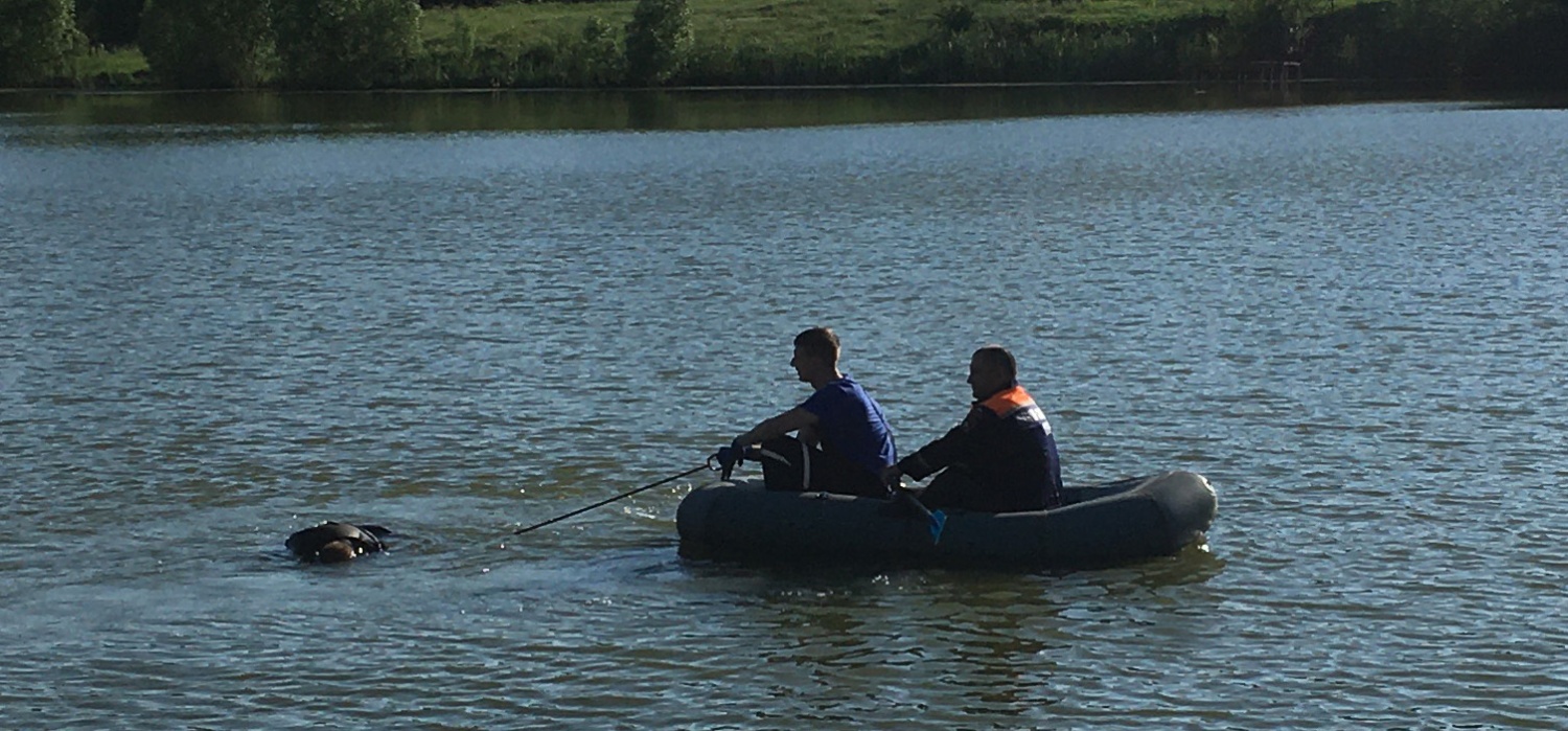 В Пензе устанавливают личность мужчины, найденного мертвым в реке Сура