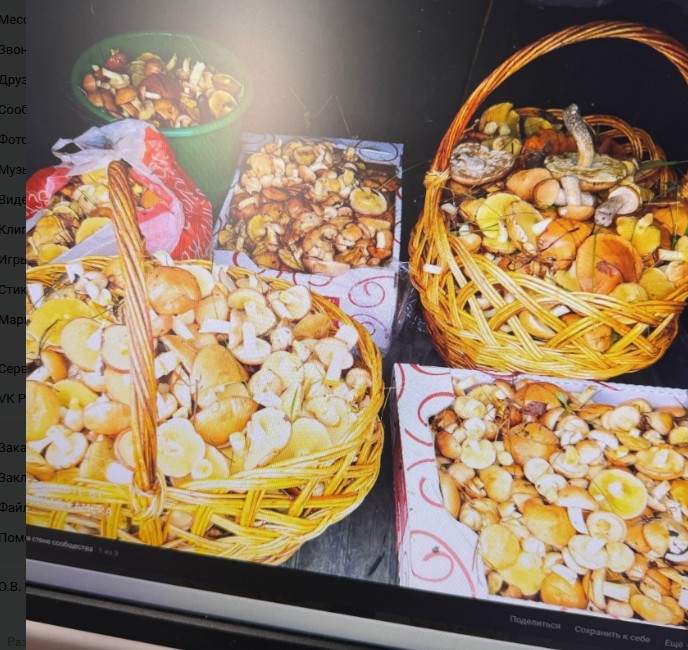 Леса Пензенской области вновь заполонили грибы