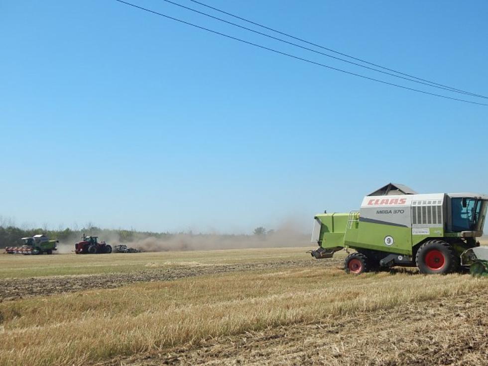 Уборка урожая в Кузнецком районе: зерновые впереди, озимые в процессе