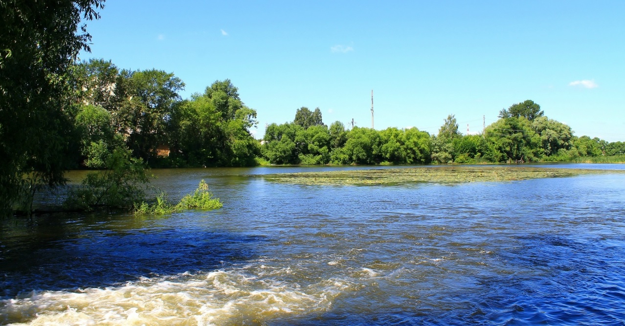 Пензенские спасатели помогли травмированной девушке на берегу Суры