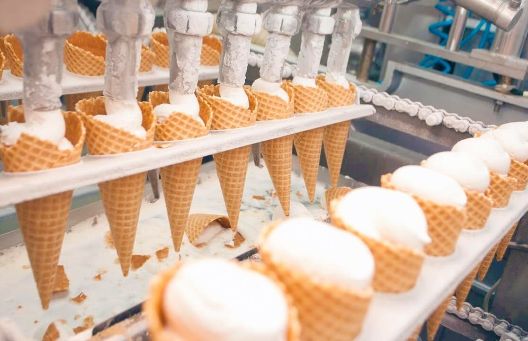 В Пензенской области выявили более 16 тонн мороженого неизвестного происхождения