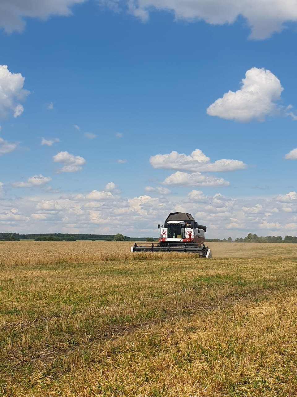 Более 92 тысяч тонн зерна собрали хлеборобы Сердобского района